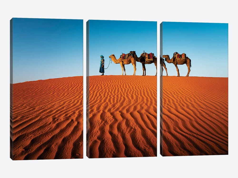 The Camel Caravan, Morocco I by Matteo Colombo 3-piece Art Print