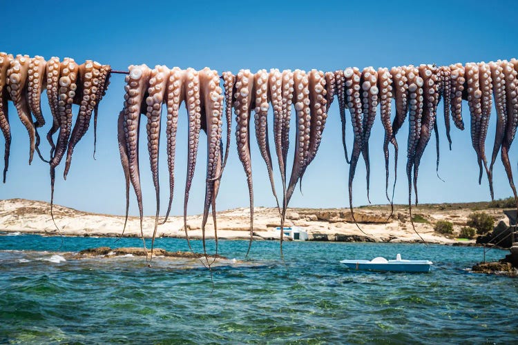 At The Fishing Village, Greece