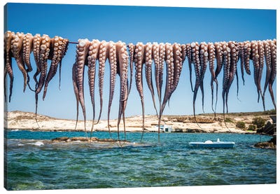 At The Fishing Village, Greece Canvas Art Print - Seafood Art