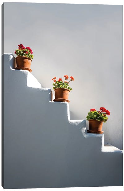 Staircase With Flowers, Greece Canvas Art Print - Stairs & Staircases