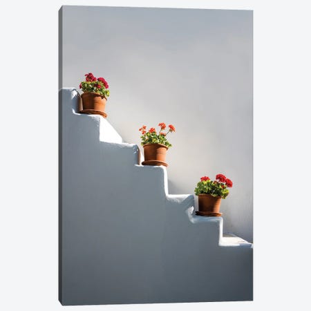 Staircase With Flowers, Greece Canvas Print #TEO1449} by Matteo Colombo Canvas Art Print