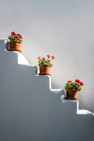 Staircases: Staircase With Flowers, Greece by Matteo Colombo