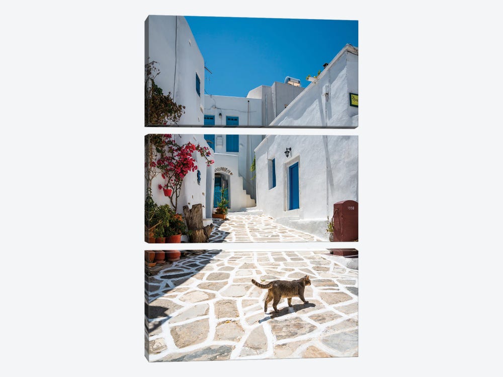 Cat Walking In The White Town, Paros, Greece by Matteo Colombo 3-piece Canvas Artwork