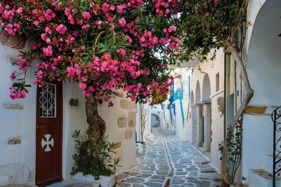Beautiful Alley With Flowers, Paros, Greece by Matteo Colombo art print