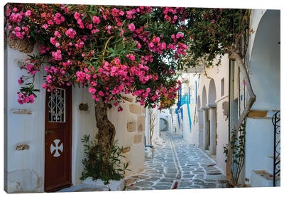 Beautiful Alley With Flowers, Paros, Greece Canvas Art Print - Greece Art