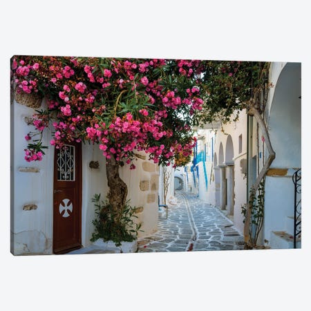 Beautiful Alley With Flowers, Paros, Greece Canvas Print #TEO1461} by Matteo Colombo Art Print