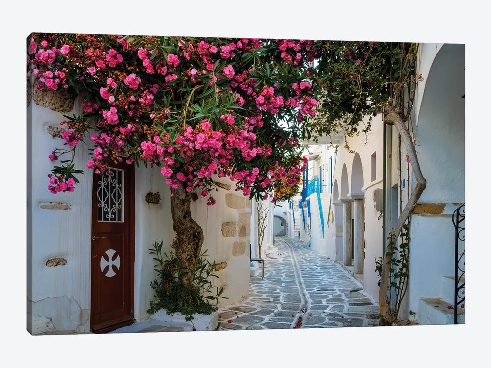 Beautiful Alley With Flowers, Paros, Greece by Matteo Colombo 1-piece Art Print
