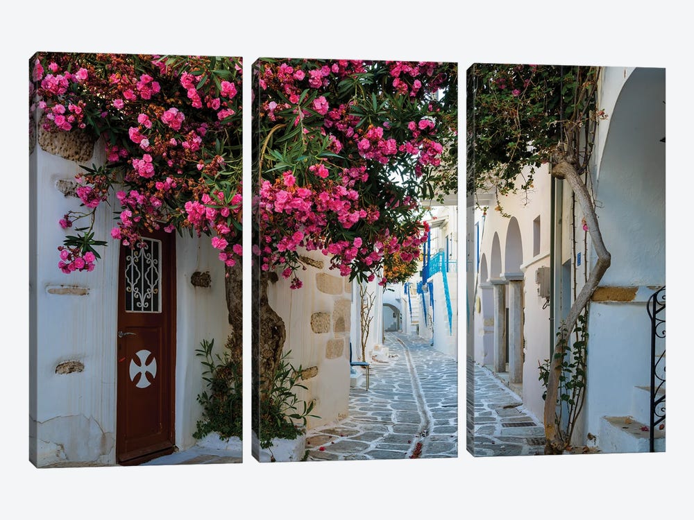Beautiful Alley With Flowers, Paros, Greece by Matteo Colombo 3-piece Canvas Print