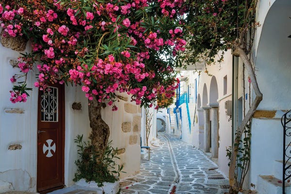 Mykonos: Beautiful Alley With Flowers, Paros, Greece by Matteo Colombo