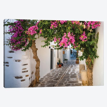 Alley With Bougainvillea Plant, Paros, Greece Canvas Print #TEO1462} by Matteo Colombo Canvas Art Print