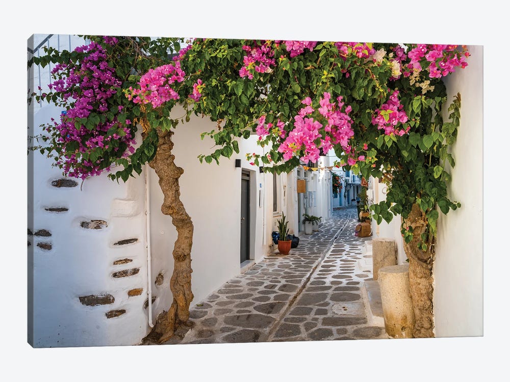Alley With Bougainvillea Plant, Paros, Greece by Matteo Colombo 1-piece Canvas Artwork