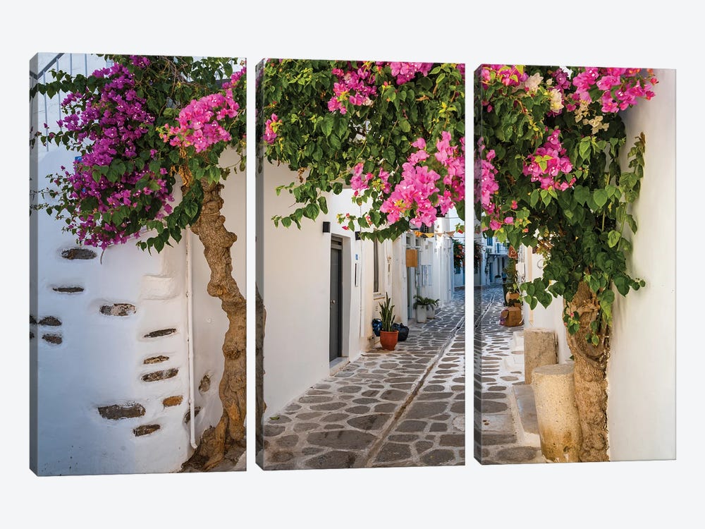 Alley With Bougainvillea Plant, Paros, Greece by Matteo Colombo 3-piece Canvas Artwork