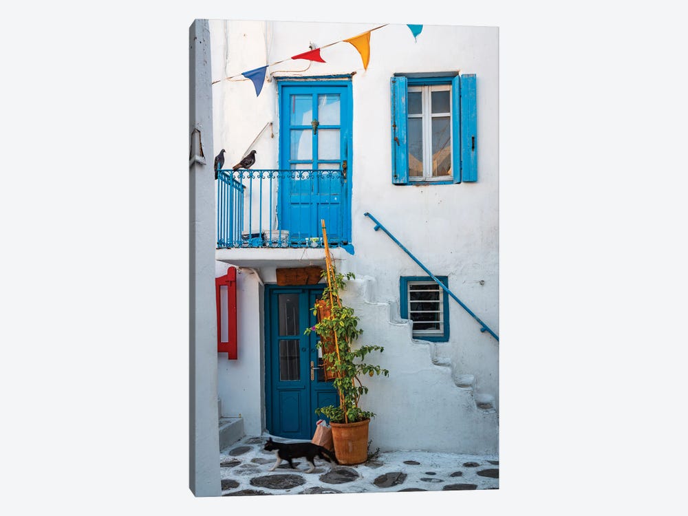 Cat In The Old Town, Mykonos, Greece by Matteo Colombo 1-piece Canvas Art