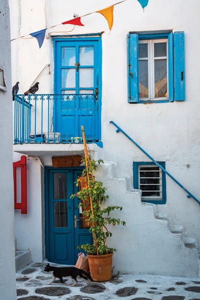 Cat In The Old Town, Mykonos, Greece