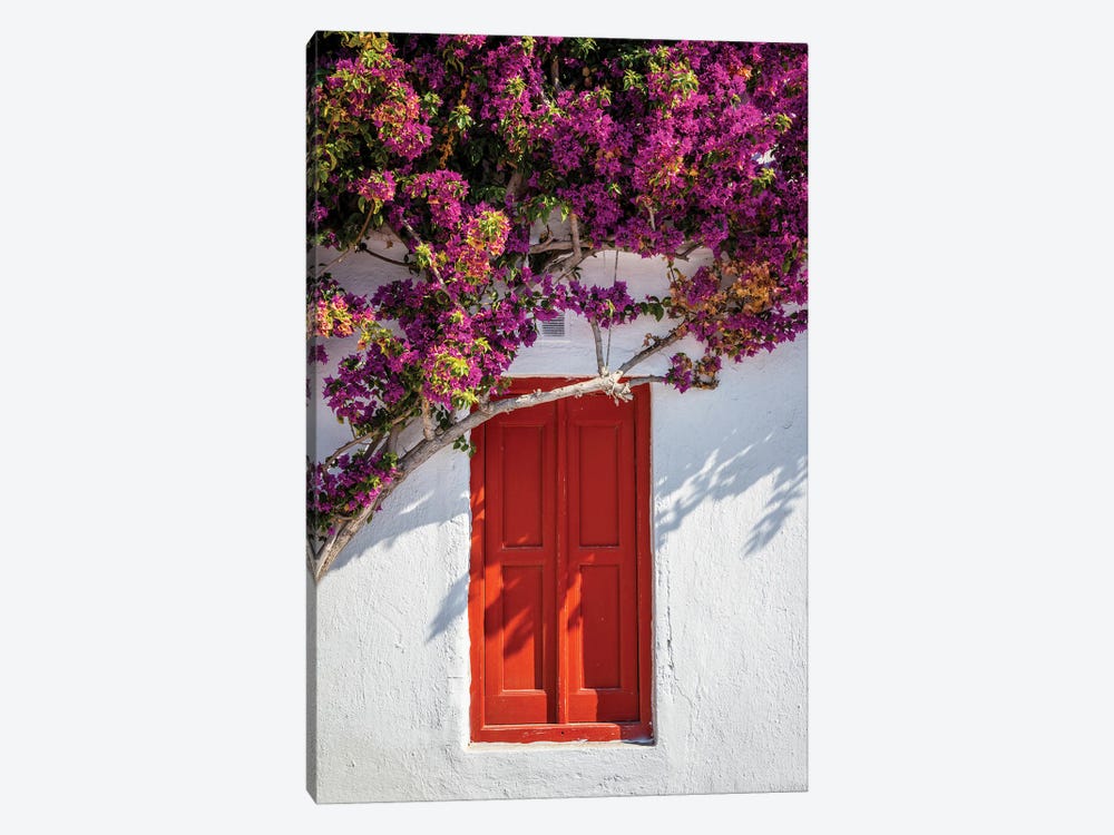 Red Door With Flowers, Mykonos, Greece by Matteo Colombo 1-piece Canvas Artwork