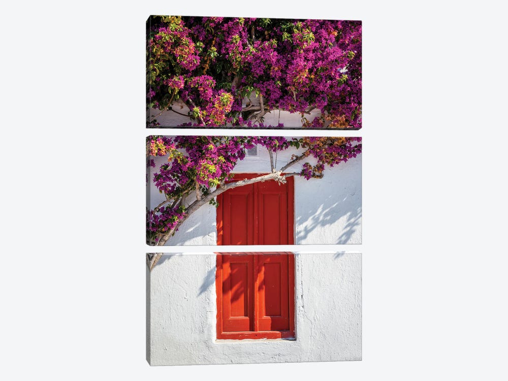 Red Door With Flowers, Mykonos, Greece by Matteo Colombo 3-piece Canvas Artwork