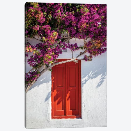 Red Door With Flowers, Mykonos, Greece Canvas Print #TEO1495} by Matteo Colombo Canvas Print