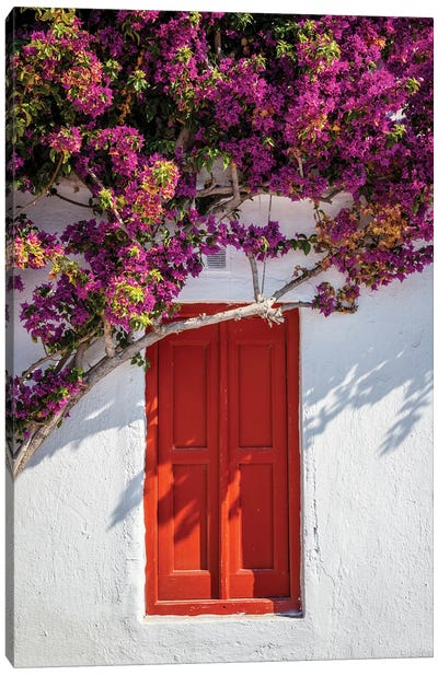 Red Door With Flowers, Mykonos, Greece Canvas Art Print - Greece Art