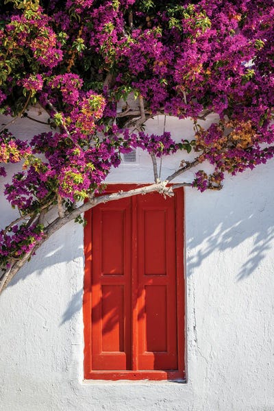 Doors: Red Door With Flowers, Mykonos, Greece by Matteo Colombo