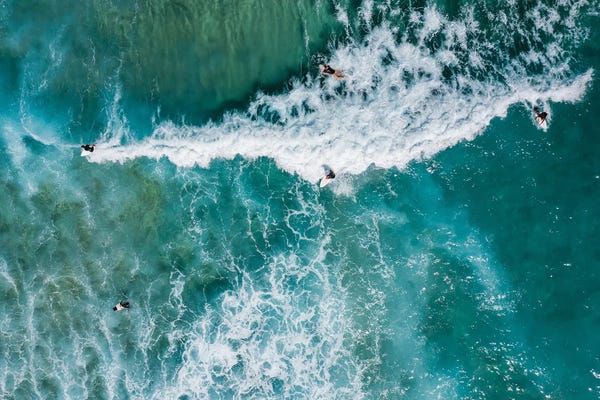 Surfers Sydney Australia