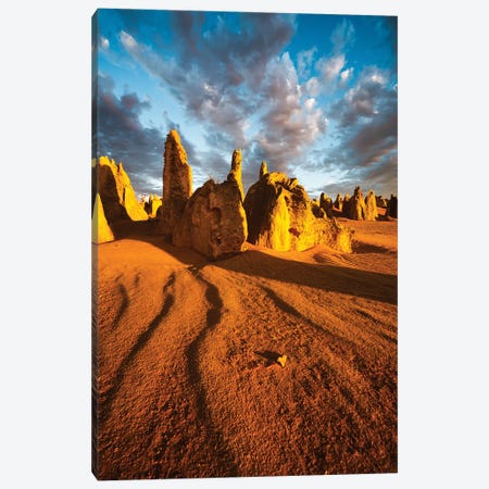 Pinnacles Desert Australia I Canvas Print #TEO1556} by Matteo Colombo Canvas Art