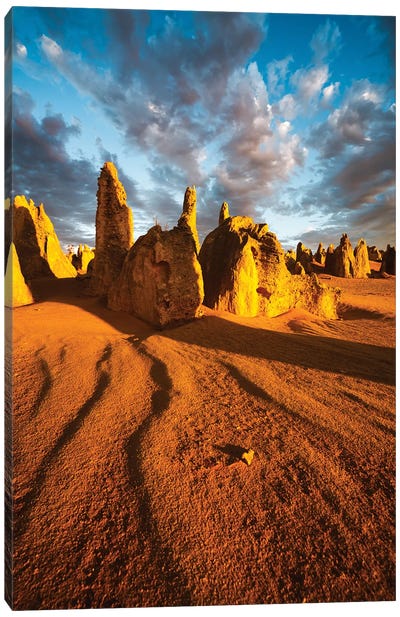 Pinnacles Desert Australia I Canvas Art Print