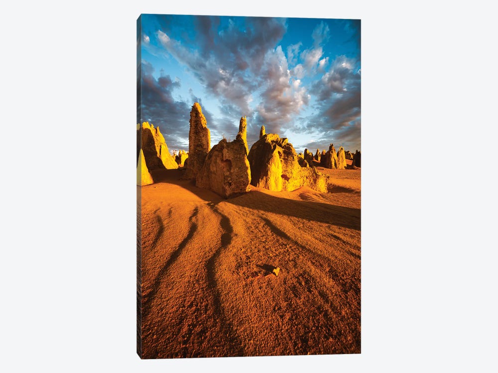 Pinnacles Desert Australia I by Matteo Colombo 1-piece Canvas Artwork