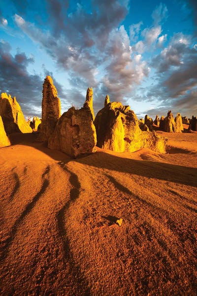 Western Australia: Pinnacles Desert Australia I by Matteo Colombo
