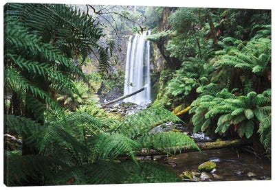 Hopetoun Falls Victoria Australia Canvas Art Print - Jungles