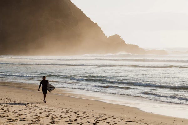 The Surfer At The Beach I