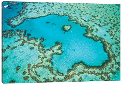 Heart Reef, Australia I Canvas Art Print - Aerial Photography