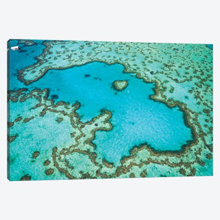 Heart Reef, Australia I Canvas Print #TEO1564} by Matteo Colombo Canvas Print