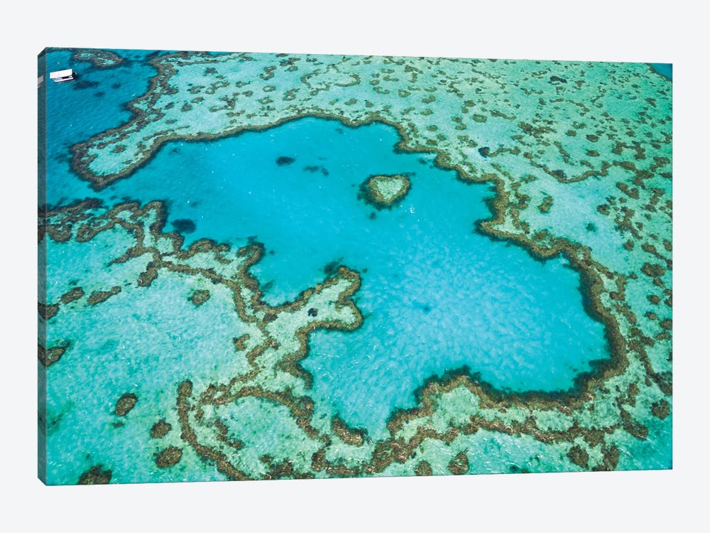 Heart Reef, Australia I by Matteo Colombo 1-piece Art Print