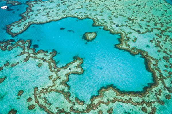 Natural Wonders: Heart Reef, Australia I by Matteo Colombo