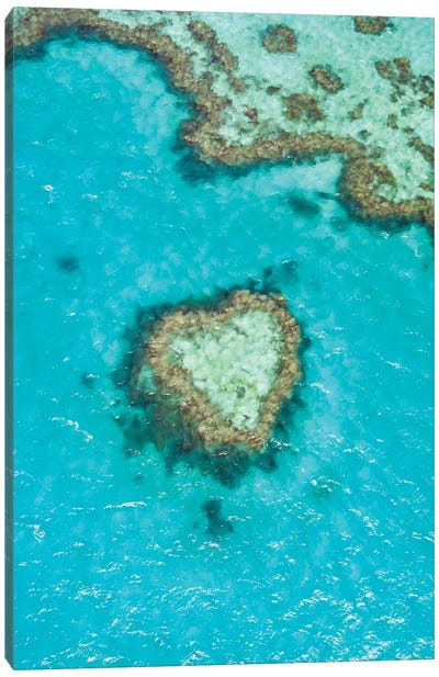 Heart Reef, Australia II Canvas Art Print - Aerial Photography