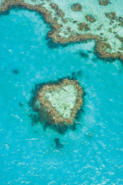 Natural Wonders: Heart Reef, Australia II by Matteo Colombo