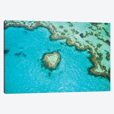 Heart Reef, Australia III Canvas Print #TEO1566} by Matteo Colombo Canvas Art Print