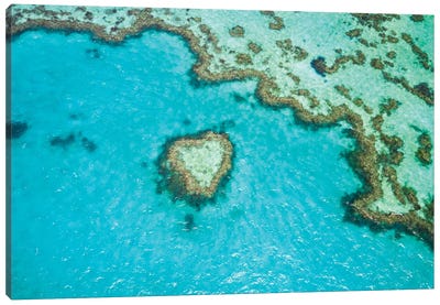 Heart Reef, Australia III Canvas Art Print - Aerial Photography
