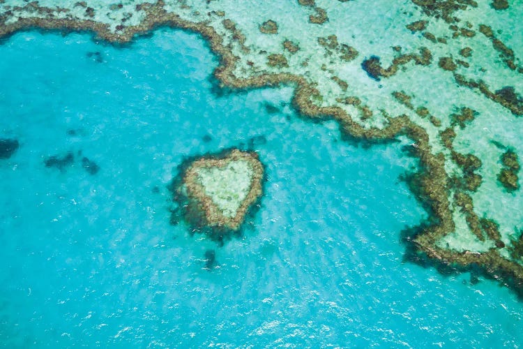 Heart Reef, Australia III