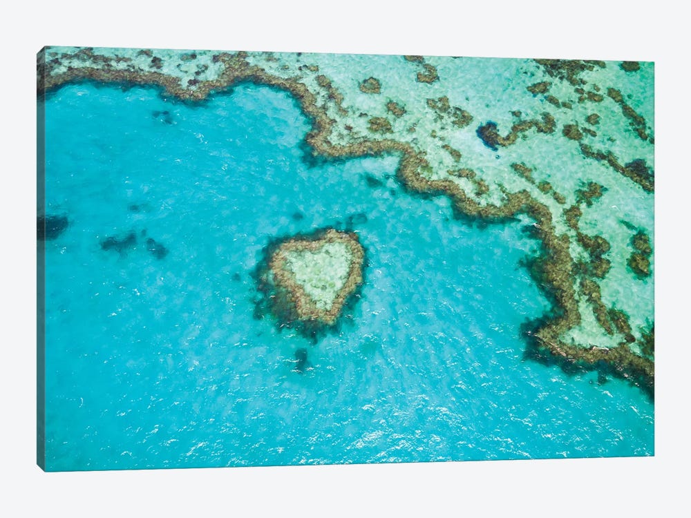 Heart Reef, Australia III by Matteo Colombo 1-piece Canvas Print