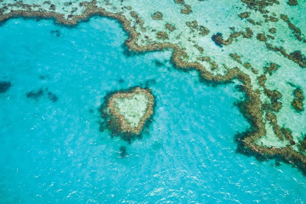 Aerial Photography: Heart Reef, Australia III by Matteo Colombo