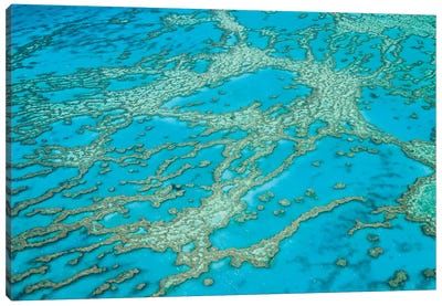 Great Barrier Reef Australia Canvas Art Print - Aerial Photography