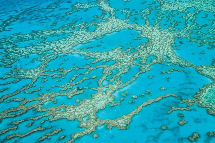 Great Barrier Reef Australia