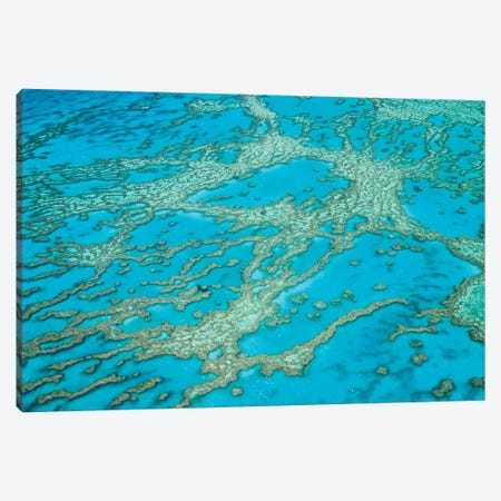 Great Barrier Reef Australia Canvas Print #TEO1567} by Matteo Colombo Canvas Art Print