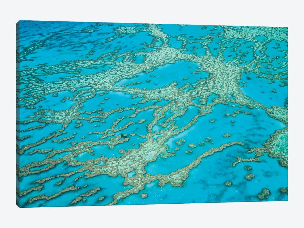 Great Barrier Reef Australia by Matteo Colombo 1-piece Canvas Art