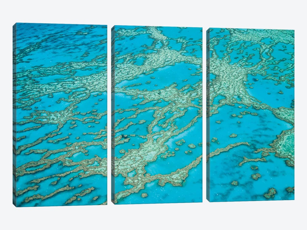 Great Barrier Reef Australia by Matteo Colombo 3-piece Canvas Artwork