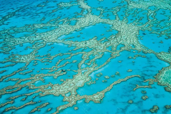 Natural Wonders: Great Barrier Reef Australia by Matteo Colombo