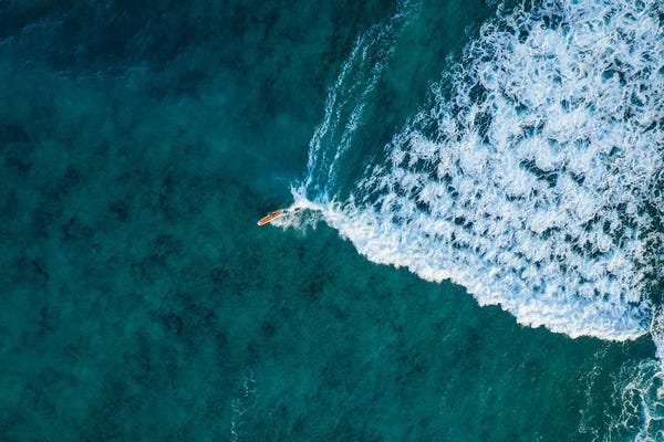 Honolulu: Surfer In The Ocean, Hawaii by Matteo Colombo