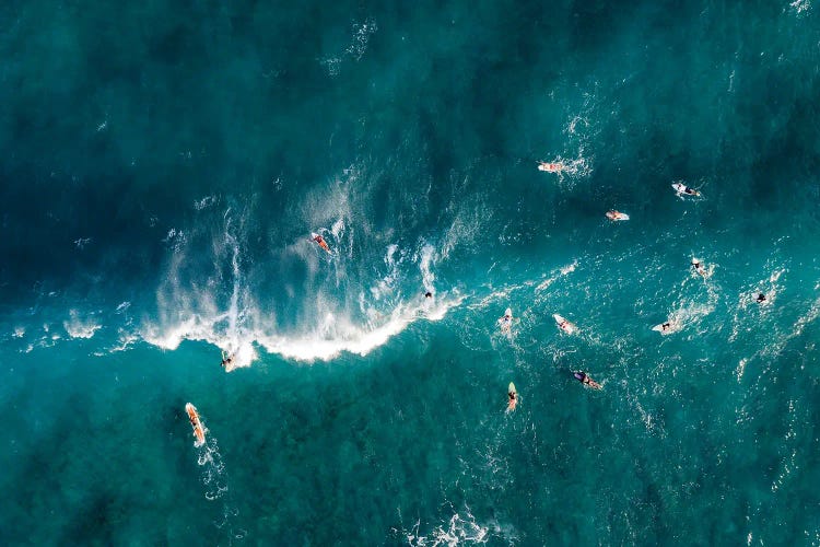 Surfing In Hawaii by Matteo Colombo wall art