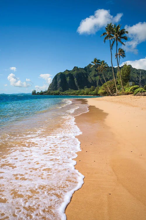 Tropical Beach, Oahu, Hawaii
